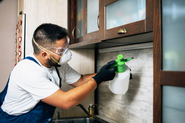 Best Local Pest Control Services  in West Lafayette, IN