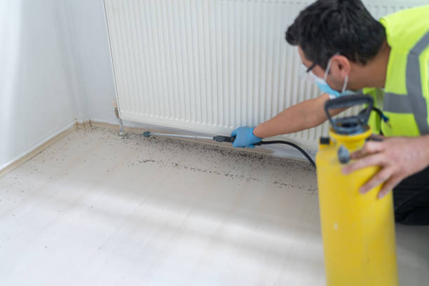 Best Ant Control Services  in West Lafayette, IN