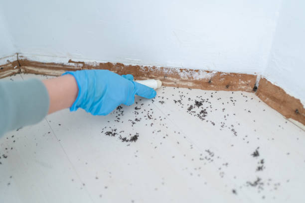 Reliable West Lafayette, IN Pest Control Solutions
