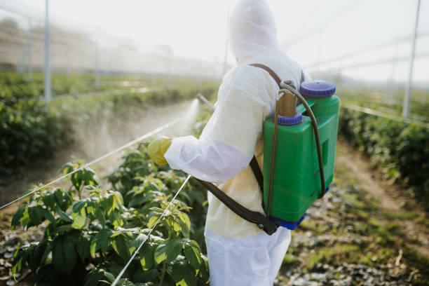  West Lafayette, IN Pest Control Pros